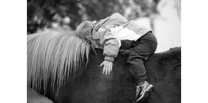 סוסים ו-ADHD - תרומת הרכיבה הטיפולית לילדים עם הפרעת קשב